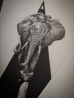 Elephant Draw