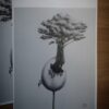 dessin oeuf